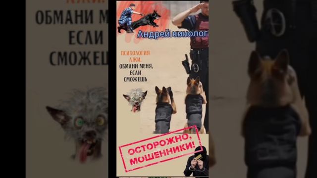 Собрание продлевателей 404 смотреть онлайн