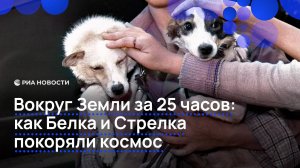 Вокруг Земли за 25 часов: как Белка и Стрелка покоряли космос