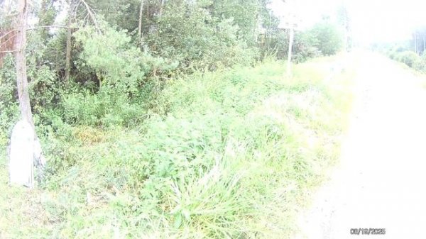 Wish 02 pro и wish 01 проехались в конце сравнение