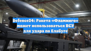 Defence24: Ракета «Фламинго» может использоваться ВСУ для удара по Елабуге
