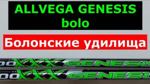 ALLVEGA GENESIS bolo - БОЛОНСКИЕ удилища. АЛЛВЕГА ДЖИНЕЗИС боло. Обзор болонских удилищ ALLVEGA