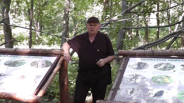 Виктор Евграфов на Молодецком кургане смотреть онлайн