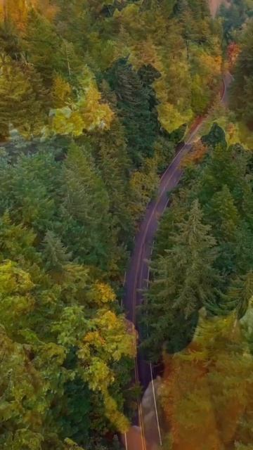 Слушай аудиокнигу 📣