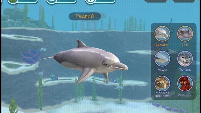 WildCraft? Я вернулась?