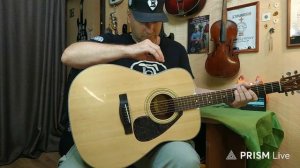 №2 Guitto GGP-05 и гитара становится трансакустической