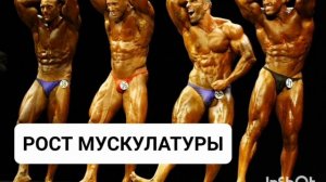 РОСТ МУСКУЛАТУРЫ, МЫШЦ*МОЩНЫЙ САБЛИМИНАЛ НА КРАСИВОЕ И СПОРТИВНОЕ ТЕЛО