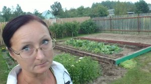 Видео привет с 6 соток  16 августа 2025 года