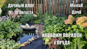 Наводим порядок за теплицей и у пруда | Удалили больной миндаль| Дачный влог 9 - 10 августа