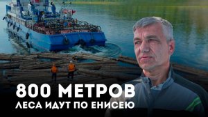 800 метров леса идут по Енисею: как сплавляют плотокараваны