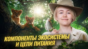 Компоненты экосистемы и цепи питания | Биология ОГЭ | Умскул