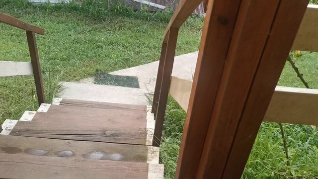 СОЧИ ГОРНОЕ ЛОО УТРО 19.08.2025 смотреть онлайн