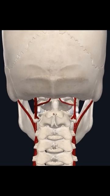 Предвестники инсульта - асимметричные боли в голове и шее! смотреть онлайн