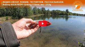 🎣 Этот воблер изменил мою рыбалку: честный обзор AQUA Ретро Sinking.