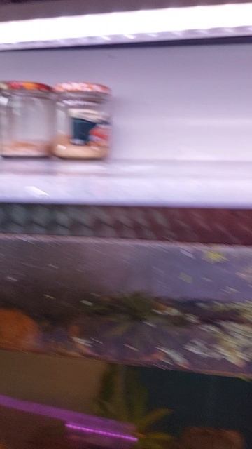 День нерестов. смотреть онлайн