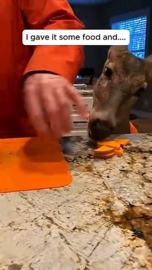 Помогайте им, им это необходимо!