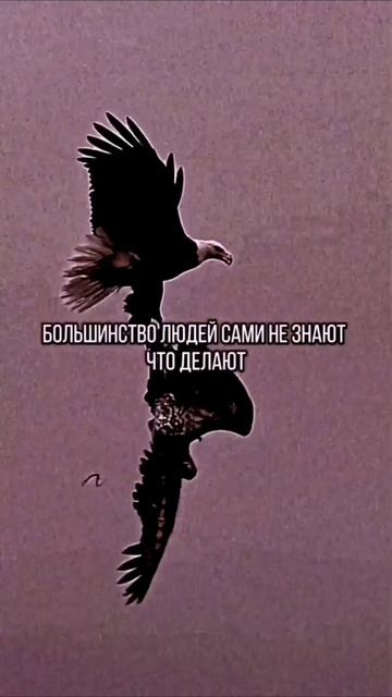 💯 Правда. Согласны?