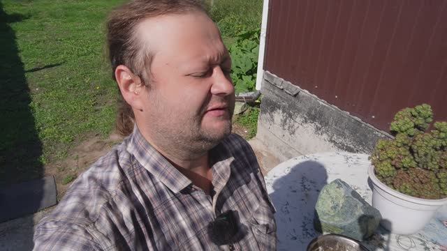 Домашний огород для души Что выросло Уход за домашними животными ВЛОГ ПОДВАЛ ИЛЬИЧА смотреть онлайн