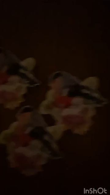 бакова 1 смотреть онлайн