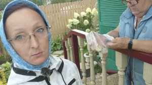 Видео привет с 6 соток 17 августа 2025 года.