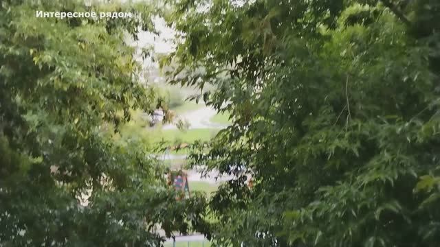 Дождь в Челябинске сегодня смотреть онлайн