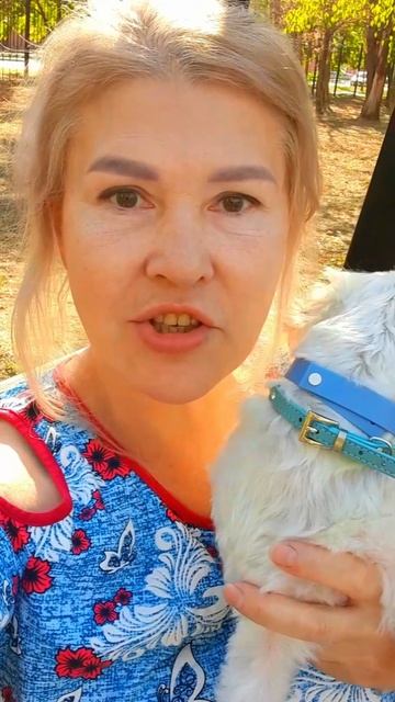 Все улыбаются собачке 😍