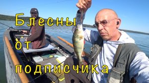 Ловля ХИЩНИКА на МЕЛКОВОДЬЕ. Маскировка и советы тестя.