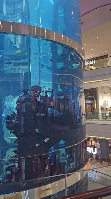 Огромный аквариум в ТЦ Москвы