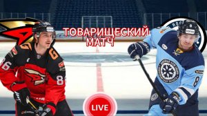 ХОККЕЙ ТОВАРИЩЕСКИЙ МАТЧ.  АВАНГАРД - СИБИРЬ.  ПРЯМАЯ ТРАНСЛЯЦИЯ