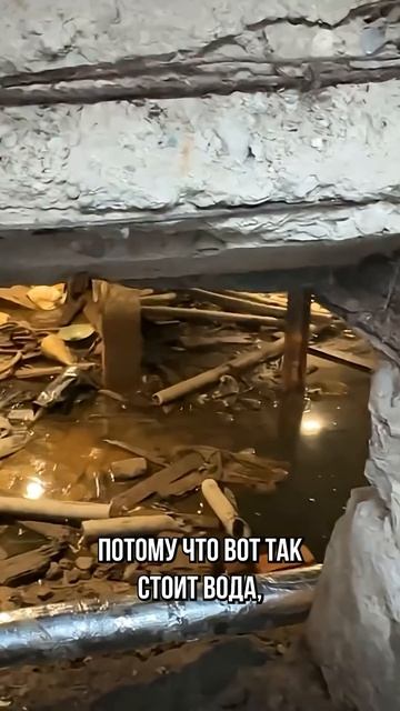 Плесень, сырость, комары: опасности подвалов старого фонда | Про Питер Недвижимость смотреть онлайн