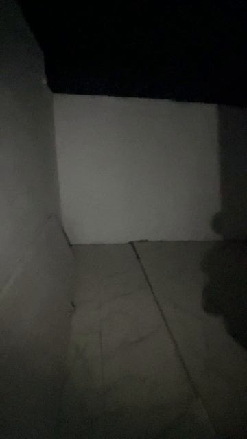 Рижский бассейн смотреть онлайн