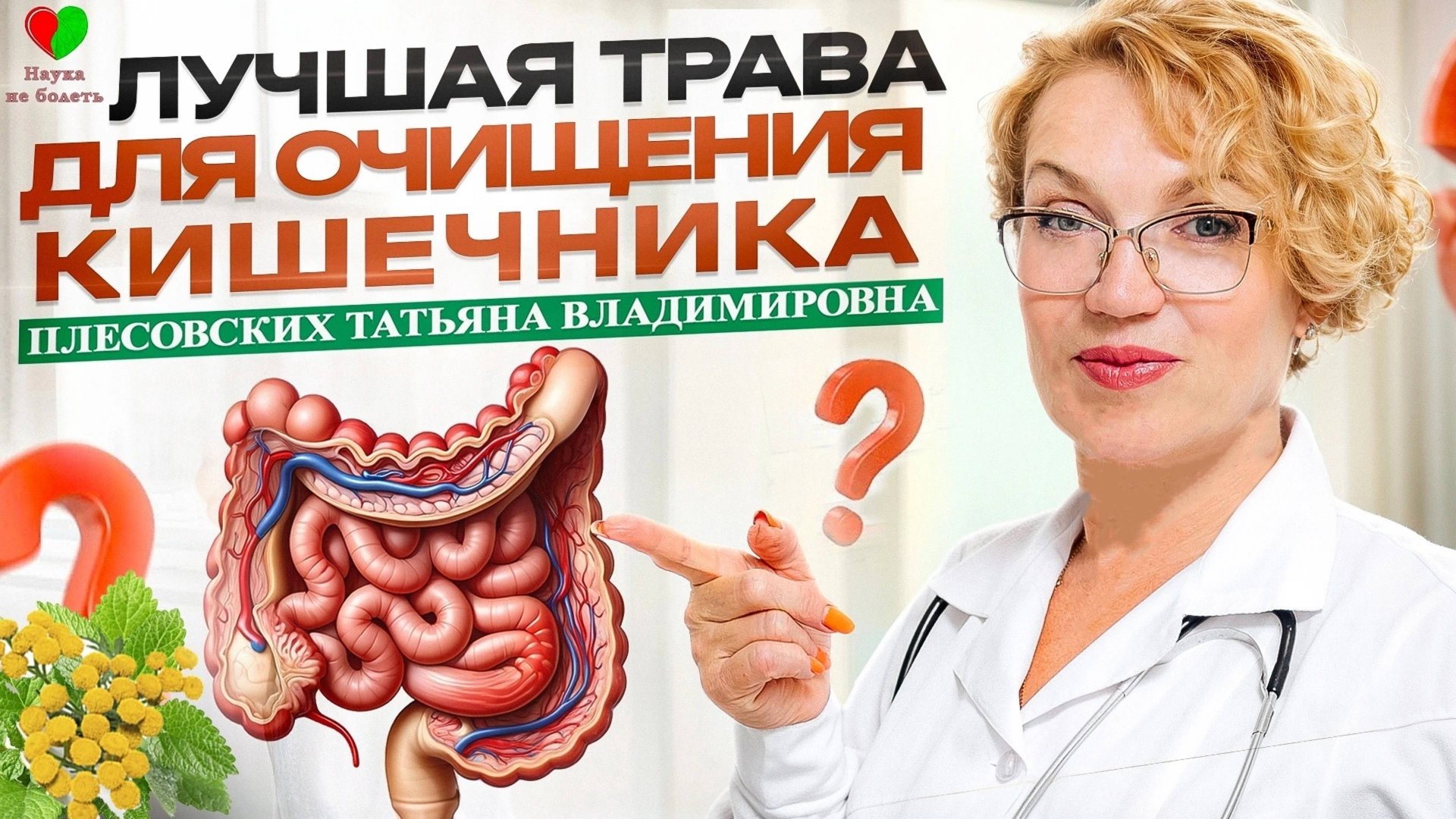 ТРАВА для ОЧИЩЕНИЯ КИШЕЧНИКА и НЕ ТОЛЬКО! - ПИЖМА ЗОЛОТАЯ - ЗОЛОТО ДЛЯ ЗДОЛРОВЬЯ! - ПЛЕСОВСКИХ Т.В. смотреть онлайн