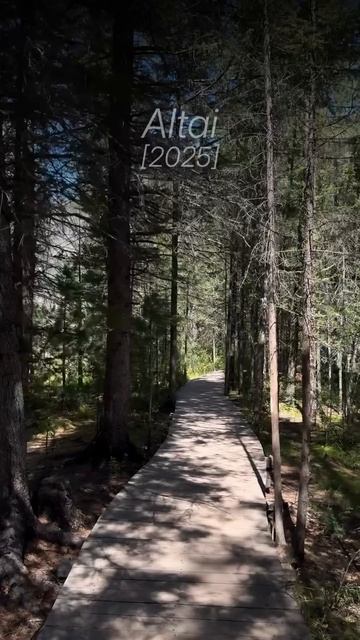 #путешествия #алтай #горы #отдых смотреть онлайн