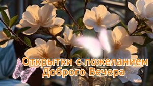 Пожелание доброго вечера бесплатно - Открытки добрый вечер и спокойной ночи