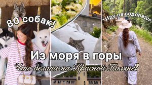 Летний влог - приехали на Розу хутор! Что я успела за 3 дня!?