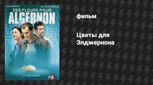 Цветы для Элджернона (фильм, 2006)