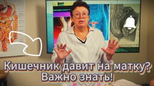Как кишечник влияет на женское здоровье?