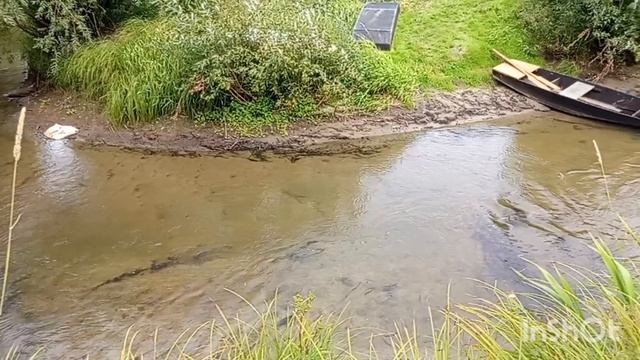 18 августа 2025 года.Жизнь в деревне. смотреть онлайн