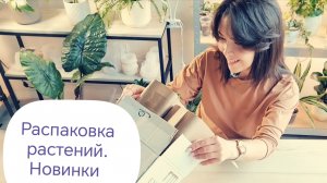Распаковка растений