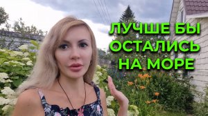Приехали домой и ОБАЛДЕЛИ 😮 Работы непочатый КРАЙ 🤦♂️ Спасение птенца 🐦