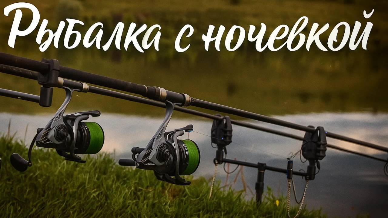 Рыбалка на карпа и крупного карася с ночевкой Флэт кормушки Лето 2025 #рыбалка #fishing #carpfishing смотреть онлайн