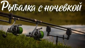 Рыбалка на карпа и крупного карася с ночевкой Флэт кормушки Лето 2025 #рыбалка #fishing #carpfishing