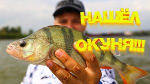 МИКРОДЖИГ рулит 💪💪💪 Разведал реку на наличие ОКУНЯ 👍