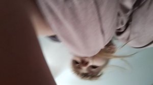 Делаем дом ✌✌