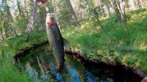 ЛОВЛЯ ФОРЕЛИ НА СПИННИНГ В РУЧЬЕ.