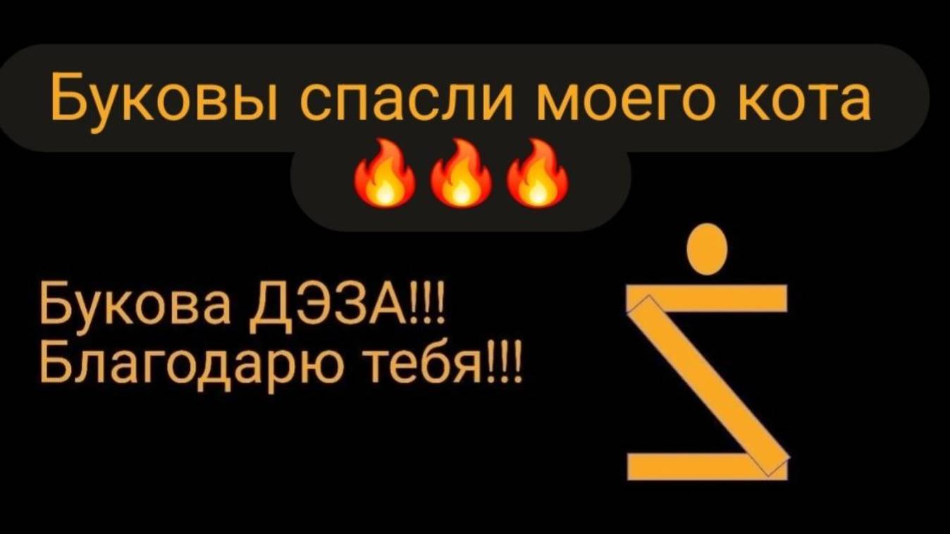 Буковы спасли моего кота. #магия #буковы #омеж #дэза #курсбуковы #всеясветнаяграмота смотреть онлайн