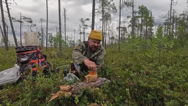 20 000 за 4 часа. В КАРЕЛИЮ НА ЗАРАБОТКИ. СБОР ЯГОД НА ПРОДАЖУ. ЯГОДЫ КАРЕЛИИ. ТАЁЖНЫЙ ПРОМЫСЕЛ смотреть онлайн
