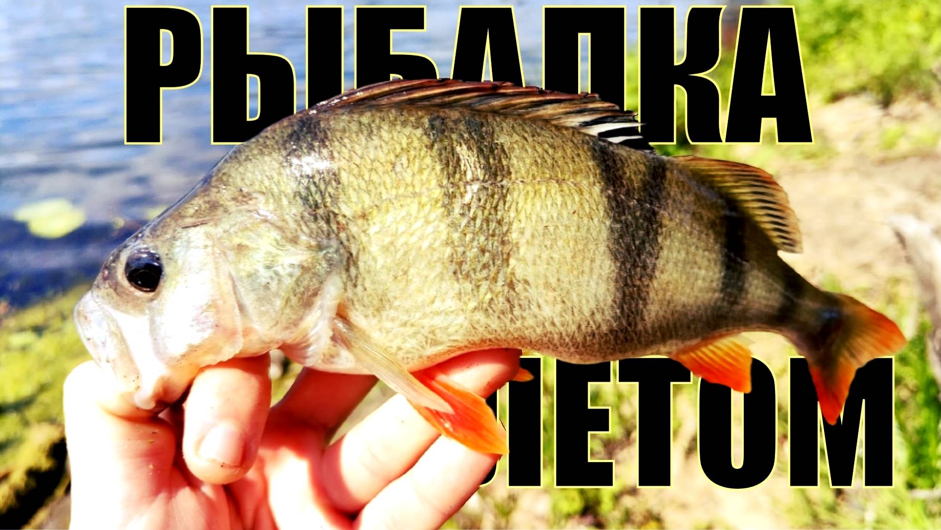 РЫБАЛКА на СПИННИНГ TELETEN 125 - УДАЛАСЬ на СЛАВУ! смотреть онлайн