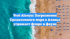 Yeni Alanya: Загрязнение Средиземного моря в Аланье угрожает флоре и фауне