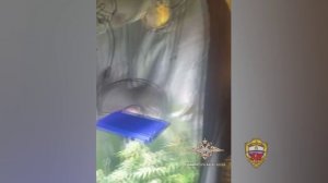 В Москве сотрудники полиции задержали подозреваемых в незаконном обороте наркотических средств