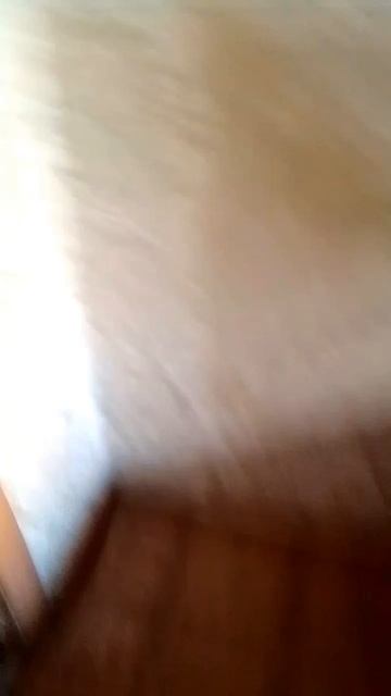 пранк смотреть онлайн